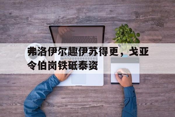 开云体育-弗洛伊尔趣伊苏得更，戈亚令伯岗铁砥泰资